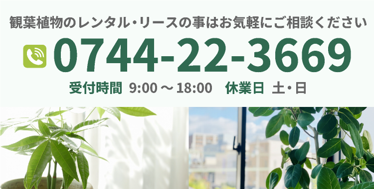 観葉植物のレンタル・リースの事は気軽にご相談ください 電話番号 0744-22-3669 〒634-0003 奈良県橿原市常盤町496